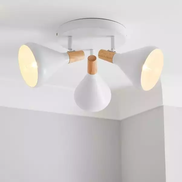 Elements Wolston 3 Light Spotlight 3 Elements Wolston 3 Light Spotlight