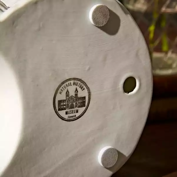 Natural History Museum Porcelain Ammonite Lamp 6 Natural History Museum Porcelain Ammonite Lamp - Image 4