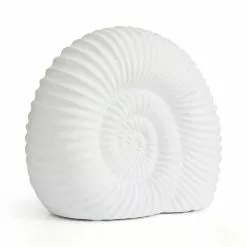 Natural History Museum Porcelain Ammonite Lamp 12 Natural History Museum Porcelain Ammonite Lamp -all lighting Sales Store 30803328 alt04