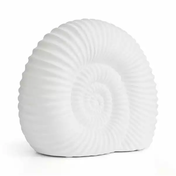 Natural History Museum Porcelain Ammonite Lamp 7 Natural History Museum Porcelain Ammonite Lamp - Image 5