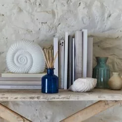 Natural History Museum Porcelain Ammonite Lamp 13 Natural History Museum Porcelain Ammonite Lamp -all lighting Sales Store 30803328 alt06