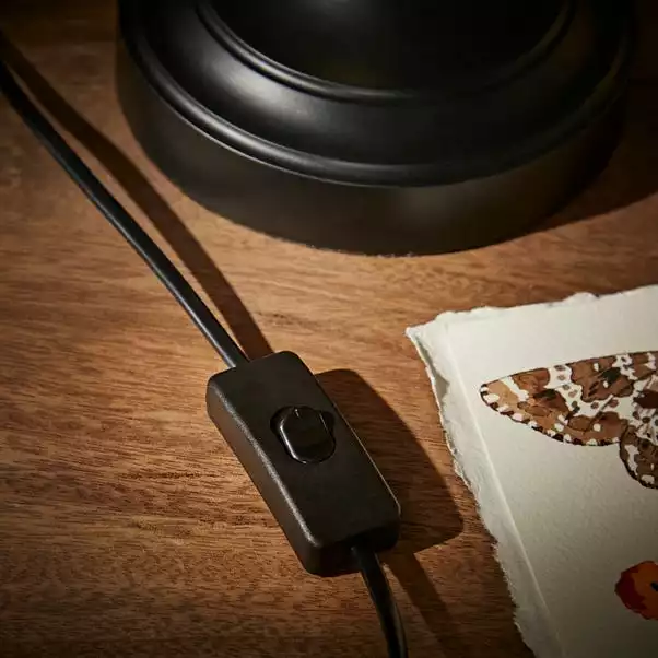 Natural History Museum Banker Desk Lamp 5 Natural History Museum Banker Desk Lamp - Image 3