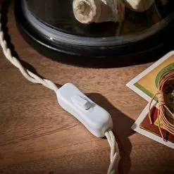 Natural History Museum Table Lamp Clear And Brass 10 Natural History Museum Table Lamp Clear And Brass -all lighting Sales Store 30803334 alt03