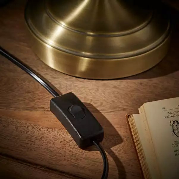 Natural History Museum Banker Desk Lamp Brass 6 Natural History Museum Banker Desk Lamp Brass - Image 4