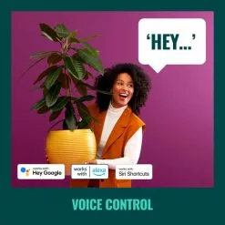 WiZ Connected WiZ Imageo Smart 4 Light LED Adjustable Spotlight 13 WiZ Connected WiZ Imageo Smart 4 Light LED Adjustable Spotlight -all lighting Sales Store 30838378 alt06